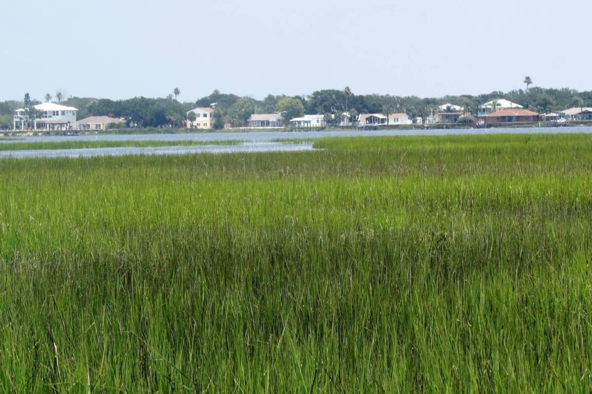 Canal Home Dock Walk To Beach Kayaks Sup Fishing St. Augustine Buitenkant foto